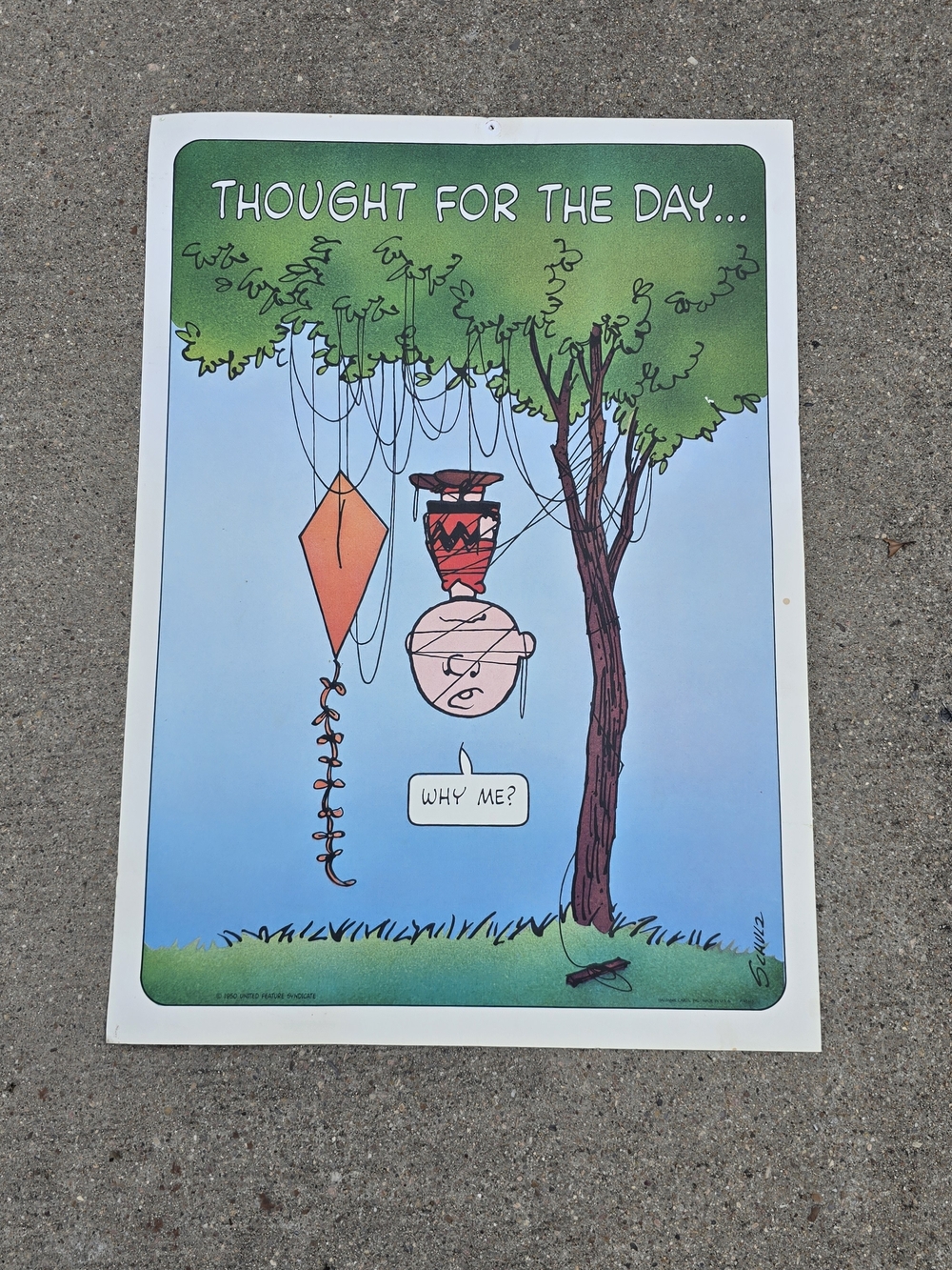 VINTAGE PEANUTS Charlie Brown CHARLES SCHULTZ "THOUGHT FOR THE DAY, WHY ME"